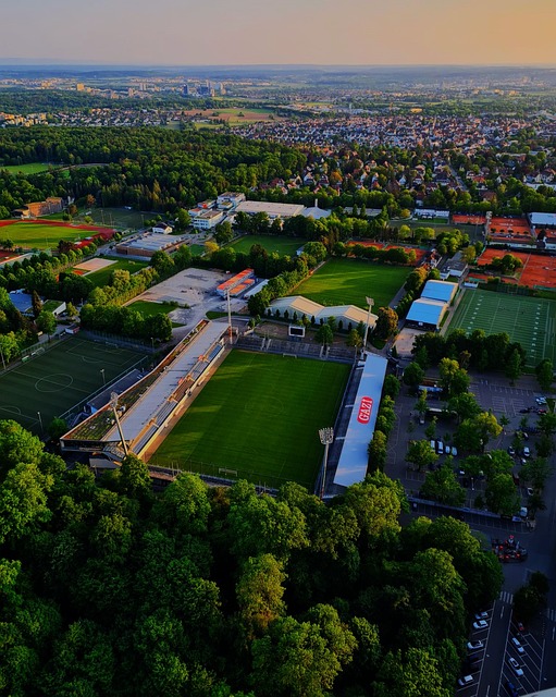 的思维和执 的思维和执